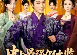 短剧《史上最强假太监（76集）》短剧全集免费在线点播