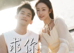 短剧《求你别烦我（60集）》热门短剧全集免费追