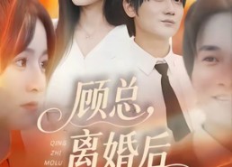 短剧《顾总，离婚后情至陌路（62集）》精彩短剧免费全集在线赏