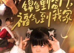 短剧《锦鲤临门福气到我家（32集）》爆款短剧免费随心观