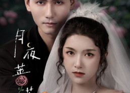 短剧《月夜蔷薇（72集）》热门短剧全集免费播