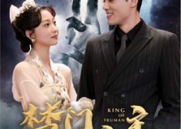 短剧《一世如龙（78集）》短剧全集免费畅快观看