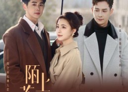 短剧《陌上花开又一春（49集）》热门短剧完整版观看