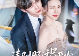 短剧《请驯服这只恶少（71集）》短剧免费无删减全集