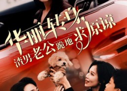 短剧《华丽转身渣男老公跪地求原谅（30集）》短剧完整版高清免费赏