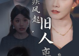 短剧《疾风起，旧人离（32集）》短剧全集免费在线赏