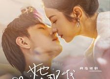 短剧《她在现代追驸马（100集）》短剧全集免费高清播