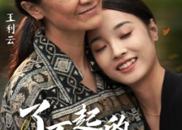 短剧《了不起的妈妈（36集）》短剧免费高清在线赏剧