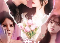 短剧《我的奇葩同事（57集）》热门搞笑短剧免费看