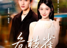 短剧《危枝雀（64集）》超燃短剧免费畅享全集