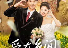 短剧《爱在乡间情正浓（62集）》在线短剧免费完整看