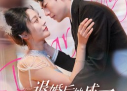 短剧《退婚后她成了豪门大佬的心尖宠（100集）》热门短剧免费在线看全集