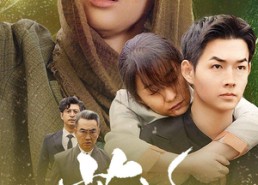 短剧《芳华（80集）》短剧全集高清免费览