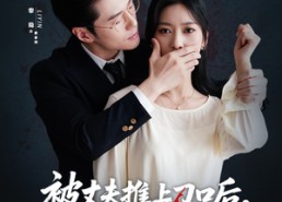 短剧《被丈夫推上刀口后，我涅槃归来（65集）》精彩短剧免费在线追完