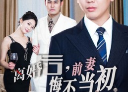短剧《新：离婚后，前妻悔不当初（32集）》精彩短剧全集免费观看