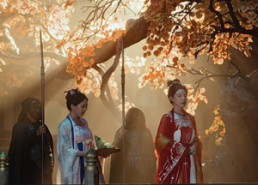 短剧《青鸟衔恨生（61集）》热门短剧在线高清播放