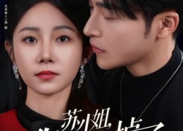 短剧《苏小姐你老公掉了（80集）》高人气短剧全集免费赏