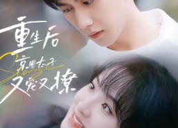 短剧《重生后京圈太子又宠又撩（72集）》短剧免费完整版在线赏