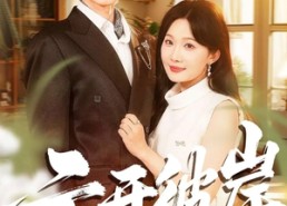 短剧《云开彼岸（80集）》热门短剧全集免费看