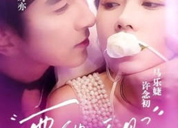 短剧《要他臣服（65集）》热门短剧全集免费畅享