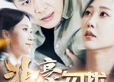 短剧《非豪勿扰（100集）》短剧全集畅享免费观