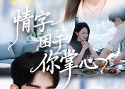 短剧《情字困于你掌心（62集）》短剧完整版免费在线赏