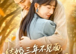 短剧《结婚三年不见面，冷面老公离婚吧（67集）》短剧免费完整版观看