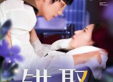 短剧《错娶（80集）》热门短剧免费高清看