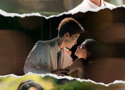 短剧《拆家野玫瑰（80集）》热门短剧全集免费看