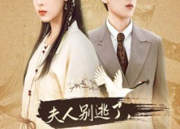 短剧《夫人别逃了贺少真的是来报恩的（63集）》精彩短剧免费畅快观