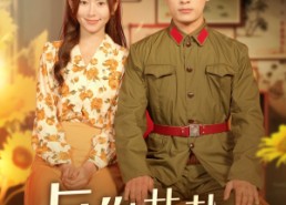 短剧《与你共赴岁月长（100集）》短剧全集免费畅享观看