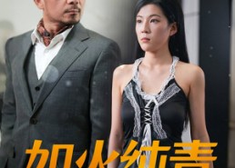 短剧《如火纯青（45集）》精彩短剧全集免费追