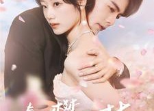 短剧《春日攀京枝（85集）》免费短剧完整版观看