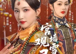 短剧《宫墙观雪录（79集）》超火短剧免费畅享观