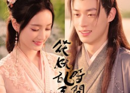 短剧《花妖乱了时间线（50集）》热门短剧免费全集享