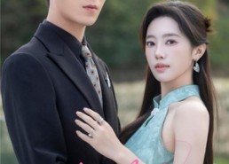 短剧《昨日茶花（56集）》短剧全集免费在线赏