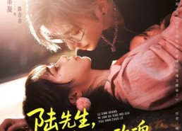 短剧《陆先生，你捡的小玫瑰又掀桌了（74集）》在线短剧免费全集追