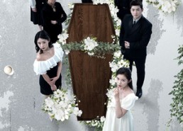 短剧《双生迷雾（80集）》短剧完整版在线速看