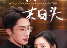 短剧《他朝有缘共白头（63集）》短剧免费全集在线赏