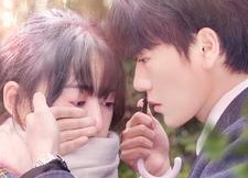 短剧《宠婚来袭（102集）》短剧全集高清免费播