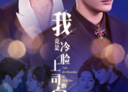 短剧《我竟是冷脸上司的白月光（80集）》短剧全集免费高清观看