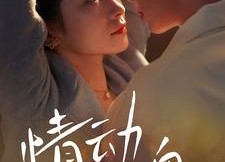 短剧《情动小玫瑰（100集）》免费短剧全集在线畅享