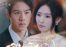 短剧《偷生继承人豪门老公找上门（99集）》热门短剧全集在线畅享