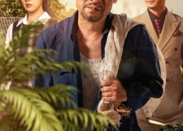 短剧《苦根（71集）》短剧高清全集免费追