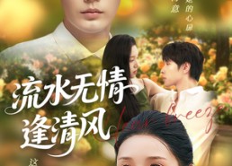 短剧《流水无情逢清风 (77集)》短剧完整高清免费播放