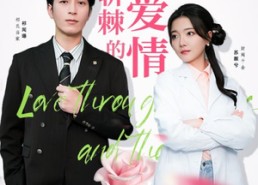 短剧《披荆斩棘的爱情（90集）》免费短剧全集高清赏