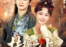 短剧《扶摇之上（79集）》短剧完整版免费高清看