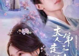 短剧《夫人走的第三年（72集）》短剧高清全集免费享