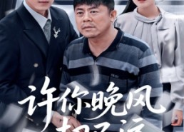 短剧《许你晚风却已远（50集）》精彩短剧全集免费阅