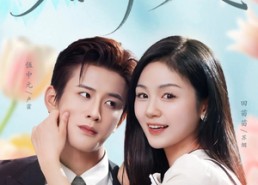 短剧《婚情已久（80集）》热门短剧免费全集观览